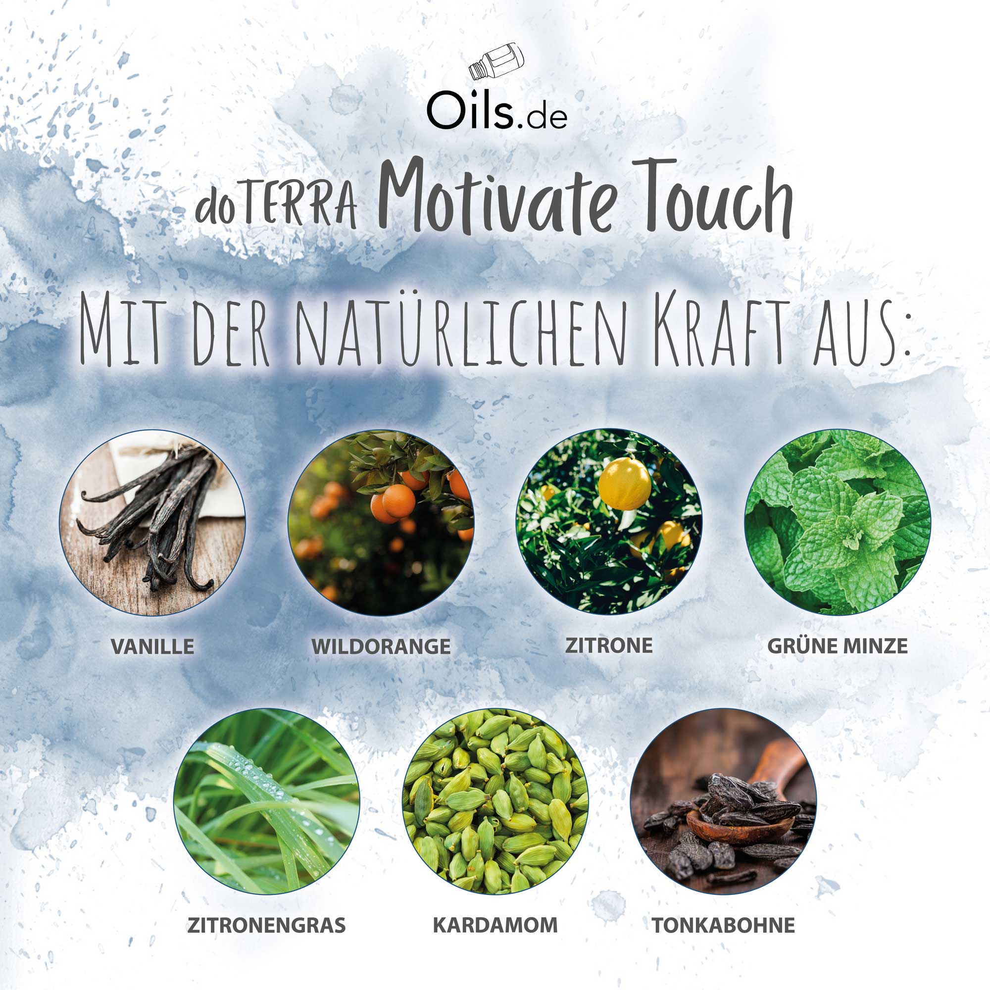 doTERRA Motivate Touch | Inhaltsstoffe
