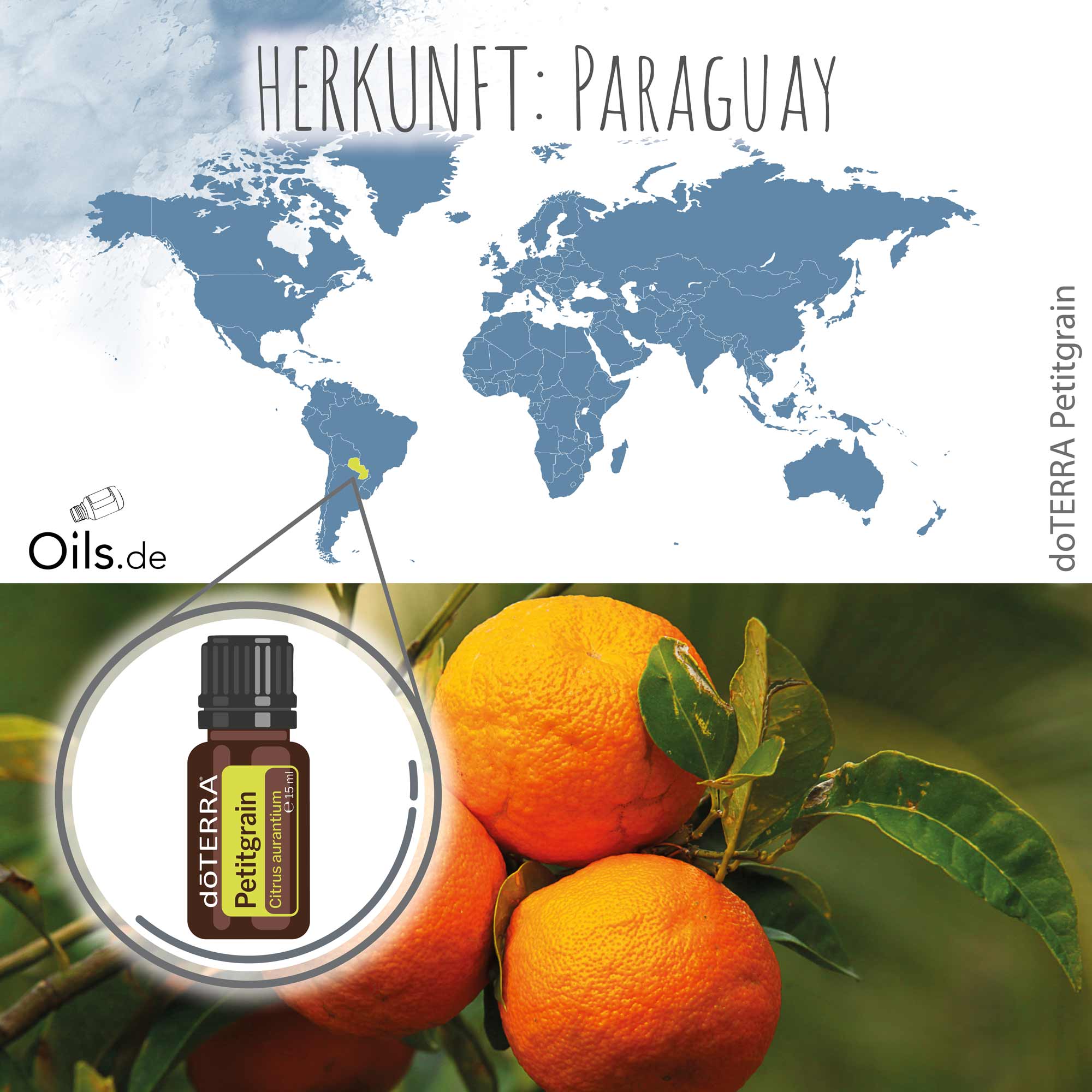 doTERRA Bitterorange | Petitgrain | Herkunft