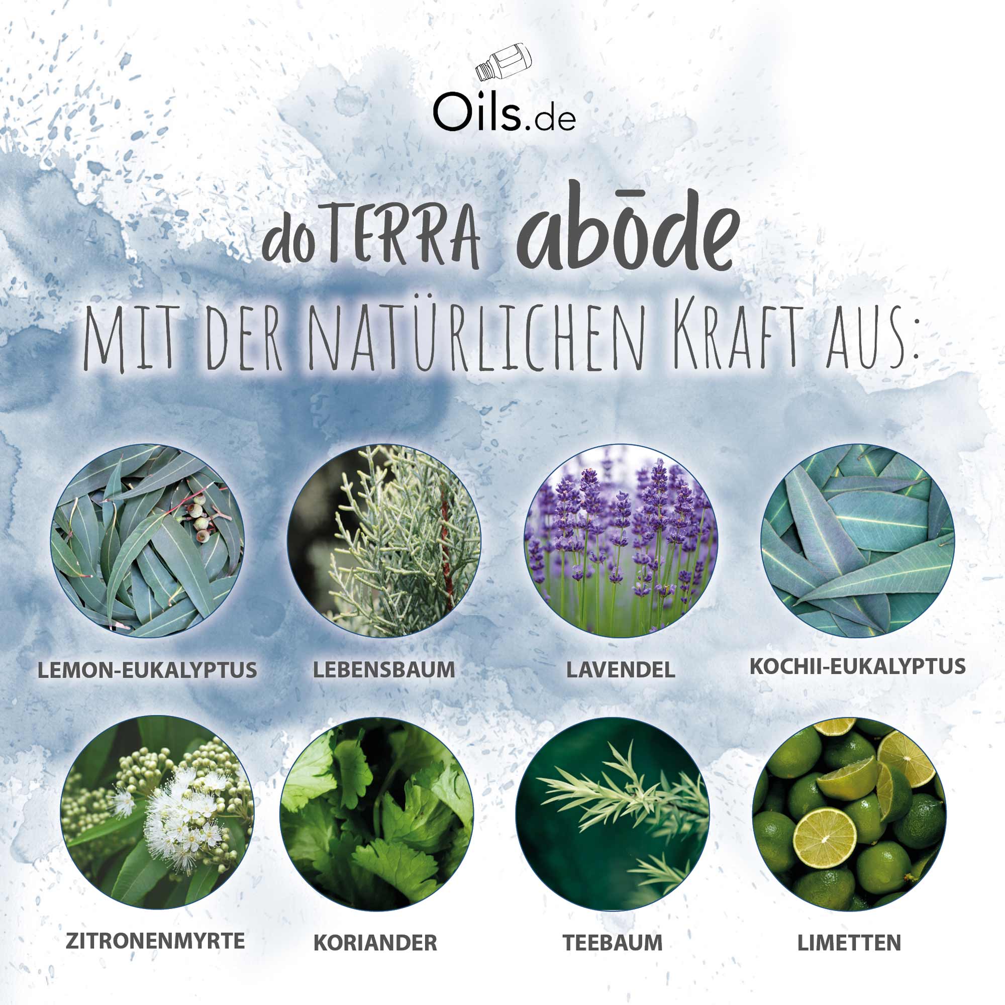 doTERRA abode Inhaltsstoffe