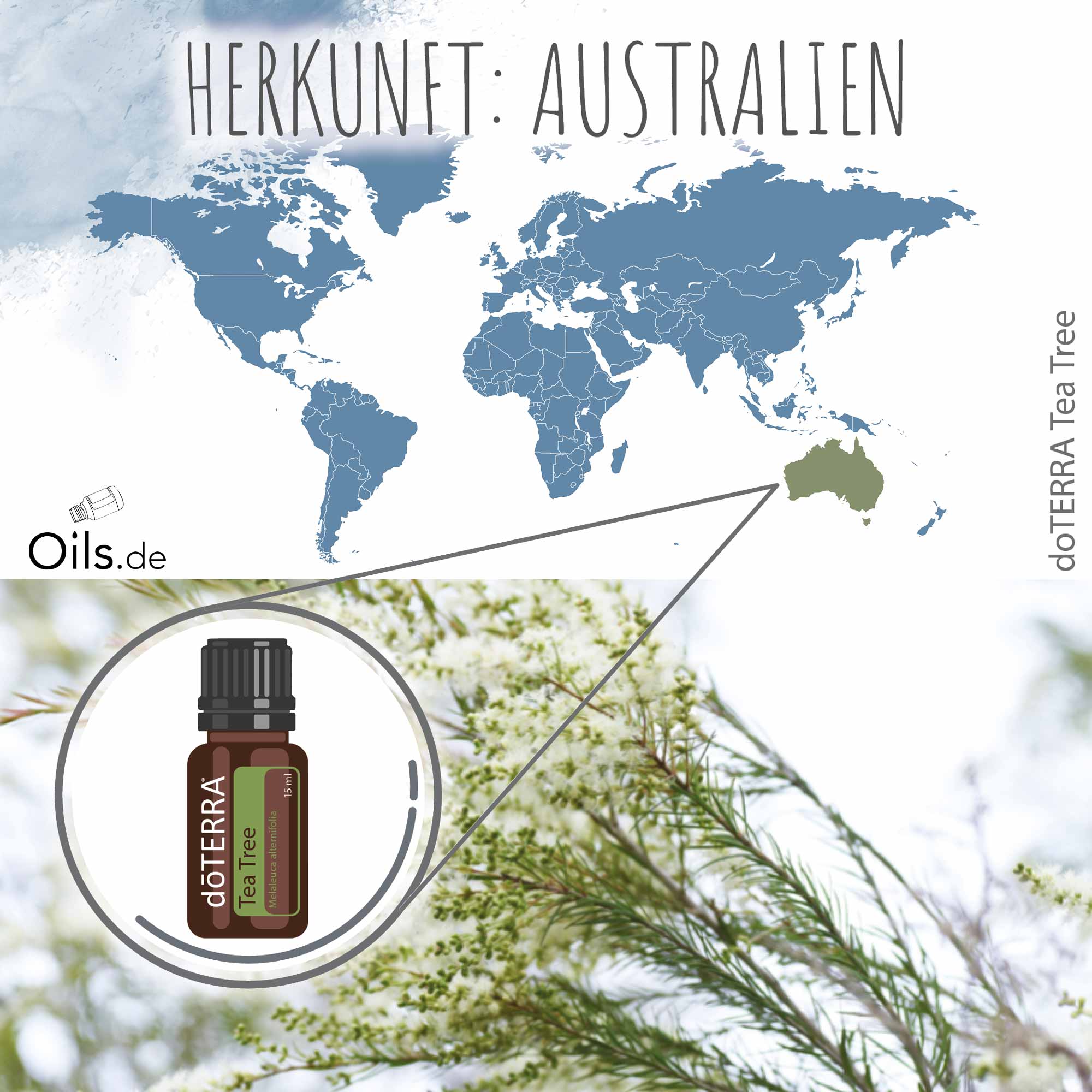 doTERRA Tee Trea | Teebaum | Melaleuca | Herkunft