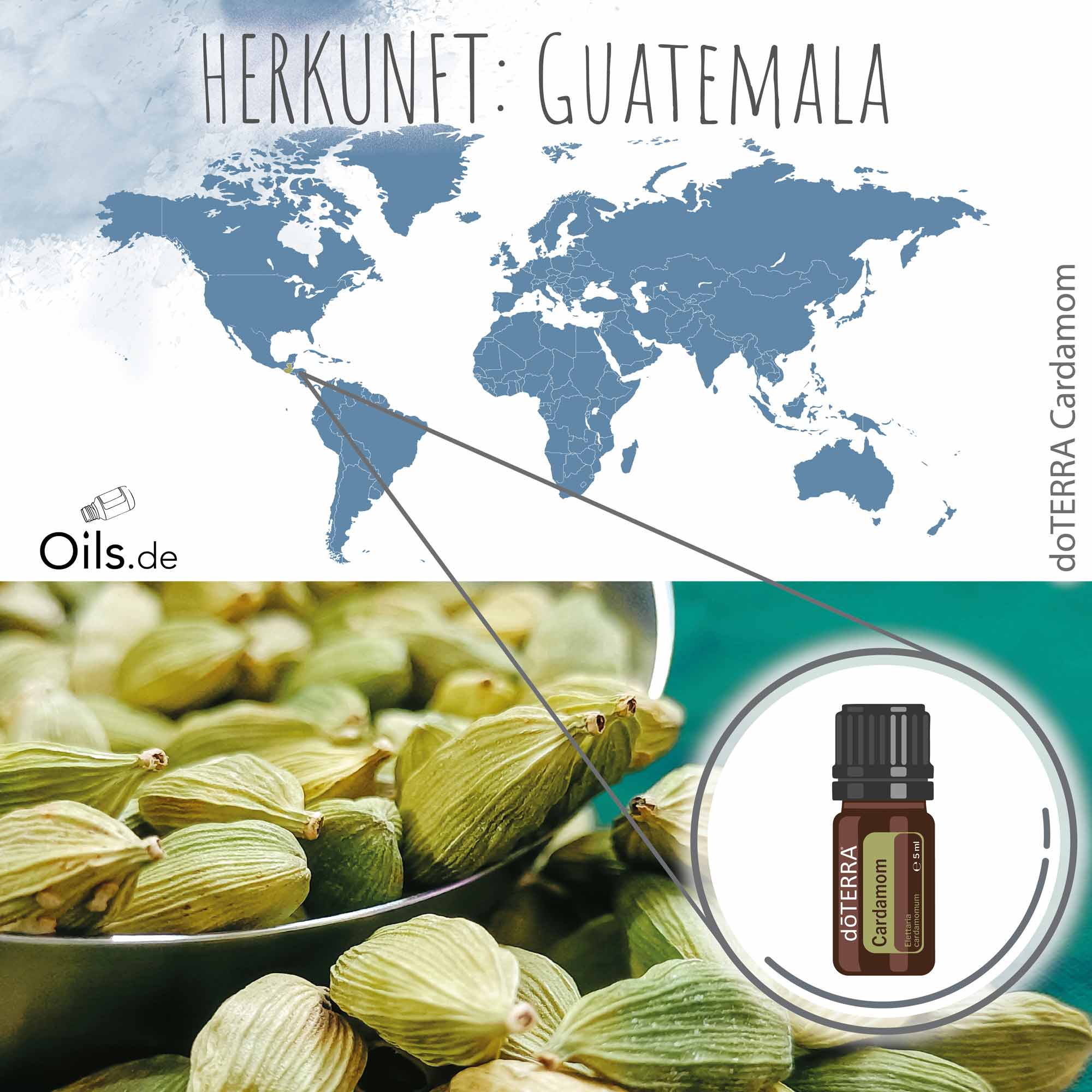 doTERRA Kardamom | Herkunft