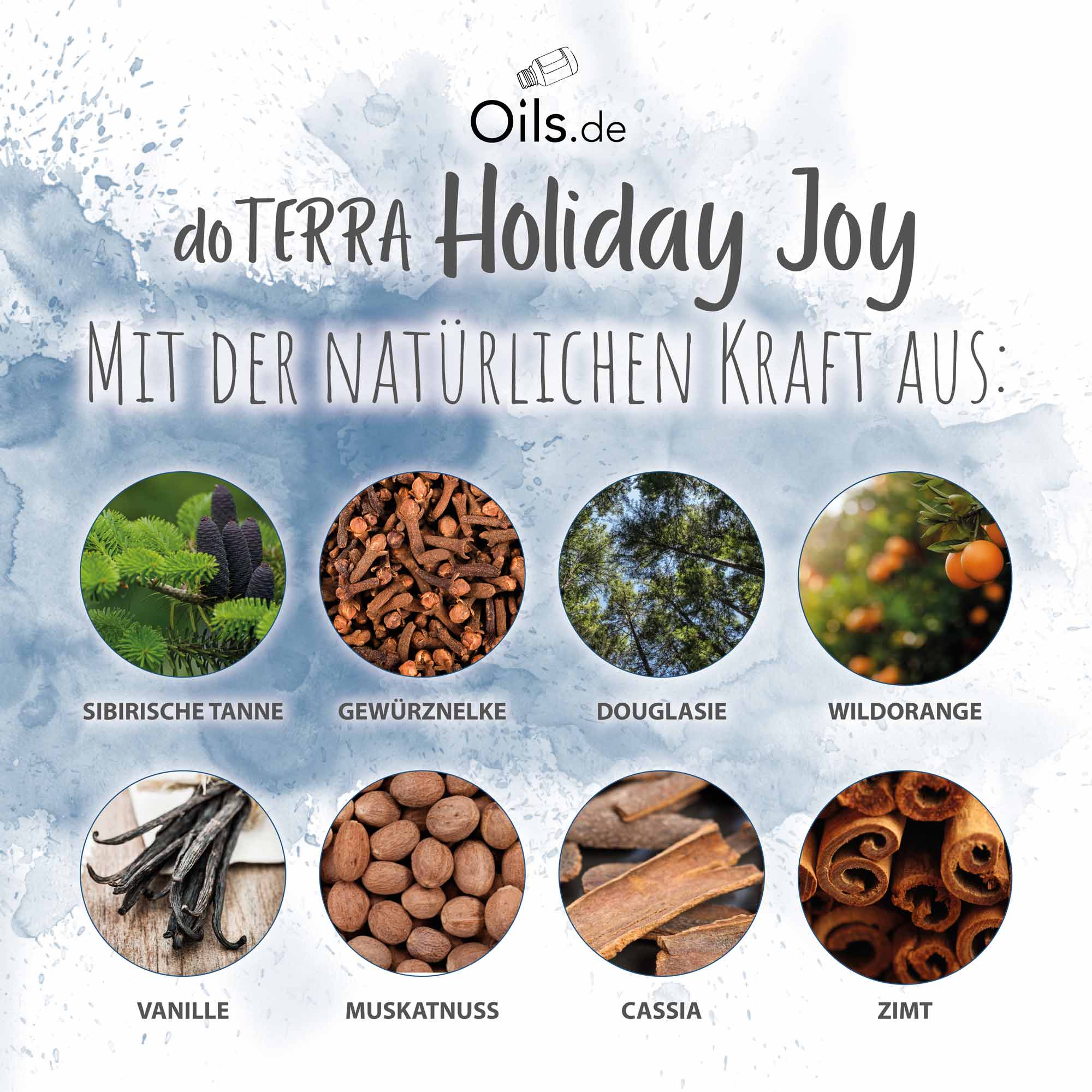 doTERRA Holiday Joy | Inhaltsstoffe