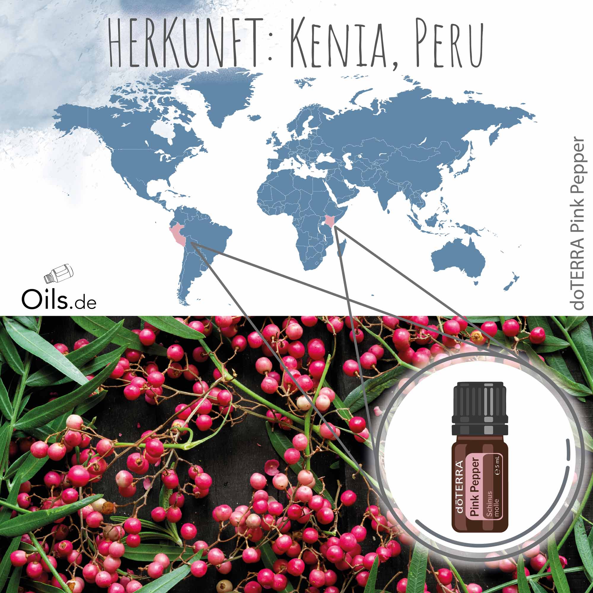 doTERRA-Rosa-Pfeffer-Herkunft doTERRA Rosa Pfeffer | Pink Pepper | Herkunft