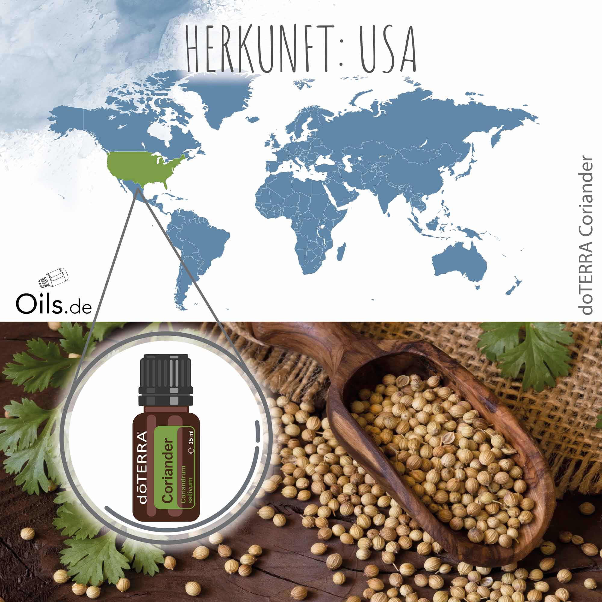 doTERRA-Koriander-Herkunft doTERRA Koriander Herkunft