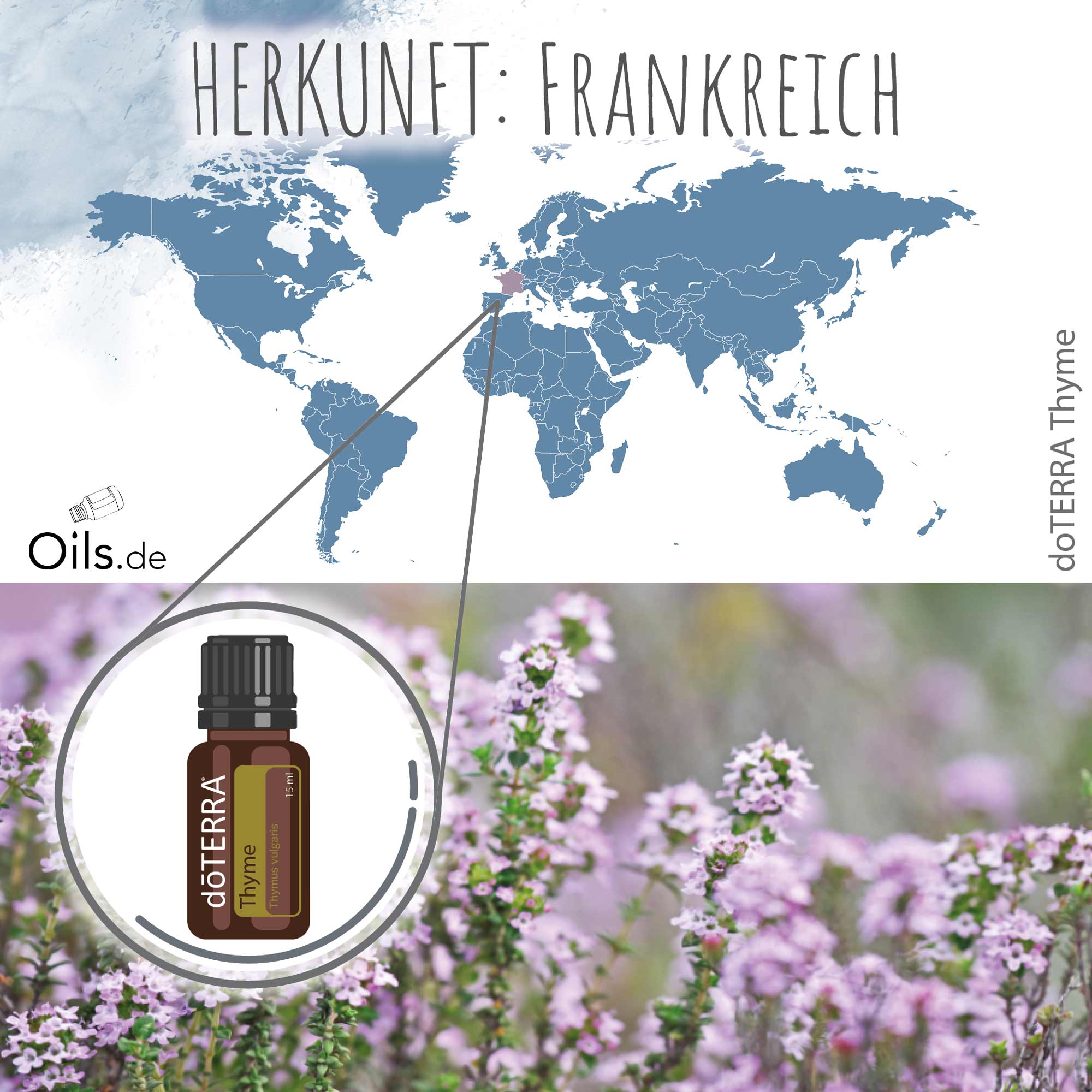 doTERRA Thymian Thyme Herkunft