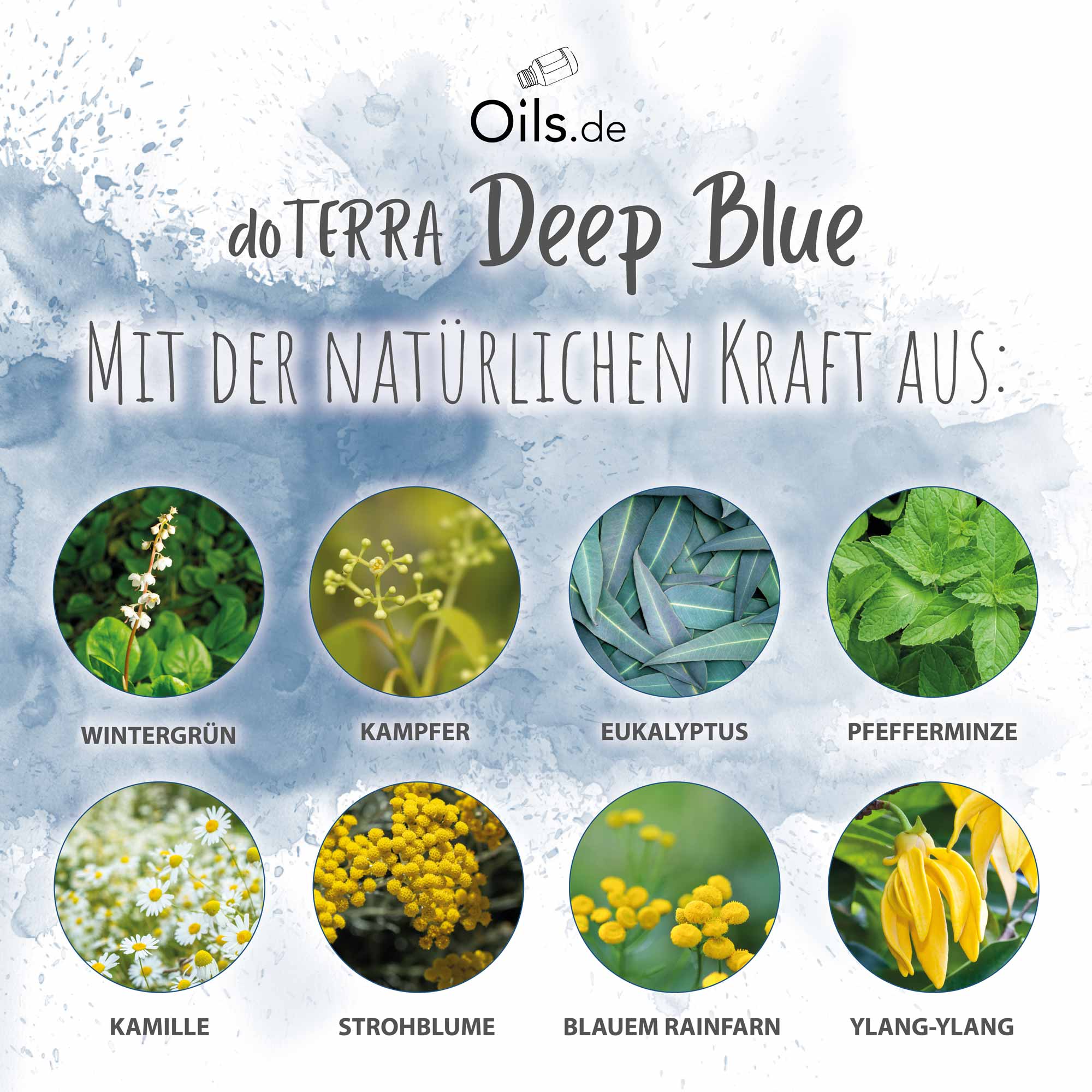 doTERRA Deep Blue Inhaltsstoffe