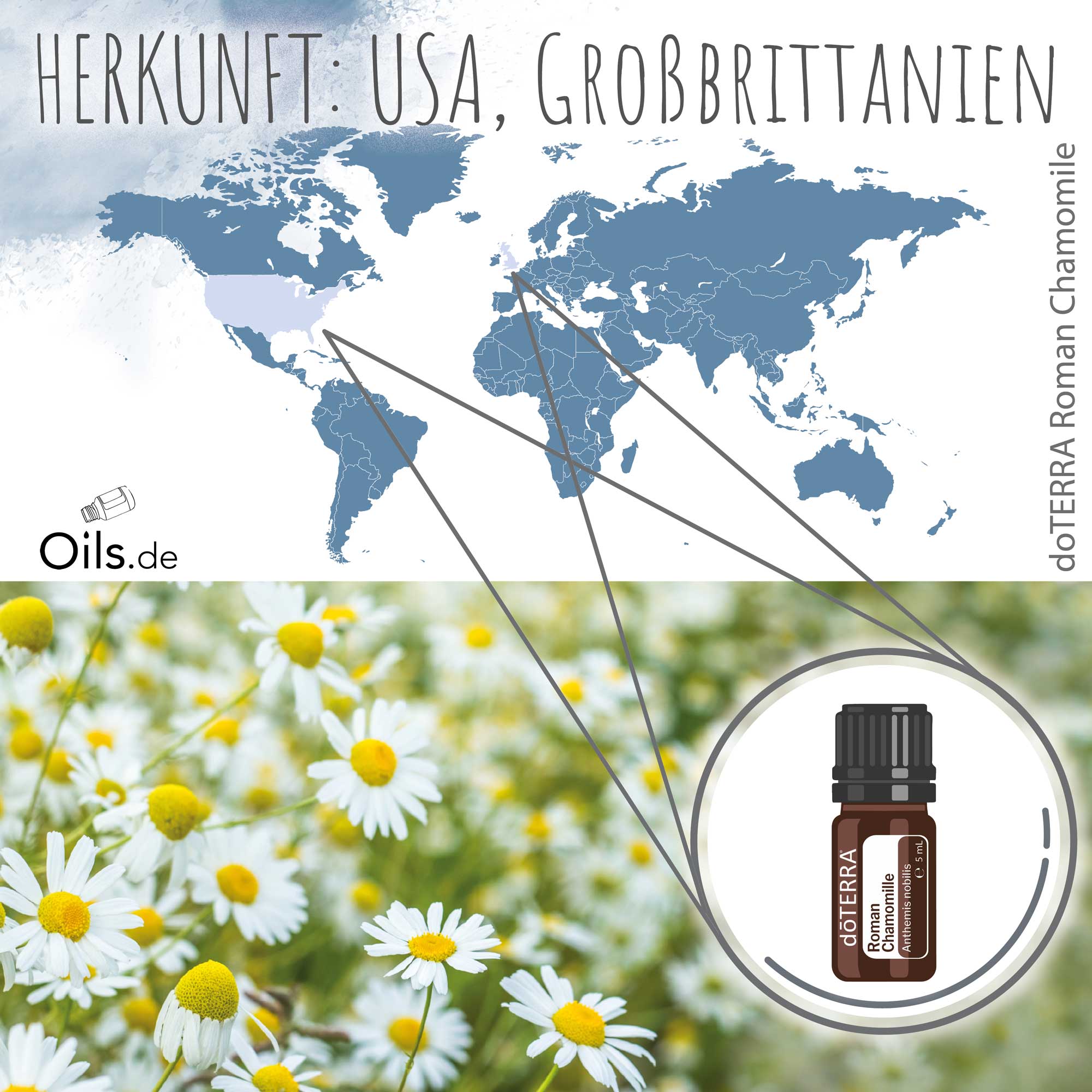 doTERRA-Roemische-Kamille-Herkunft doTERRA Römische Kamille Herkunft
