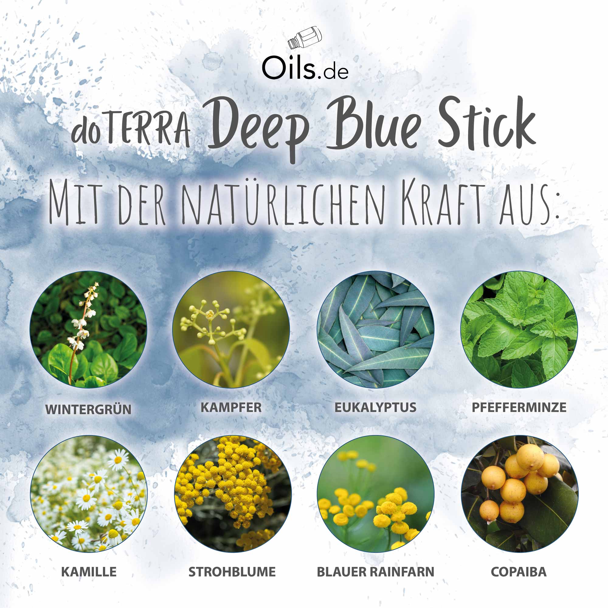 doTERRA Deep Blue Stick | Inhaltsstoffe
