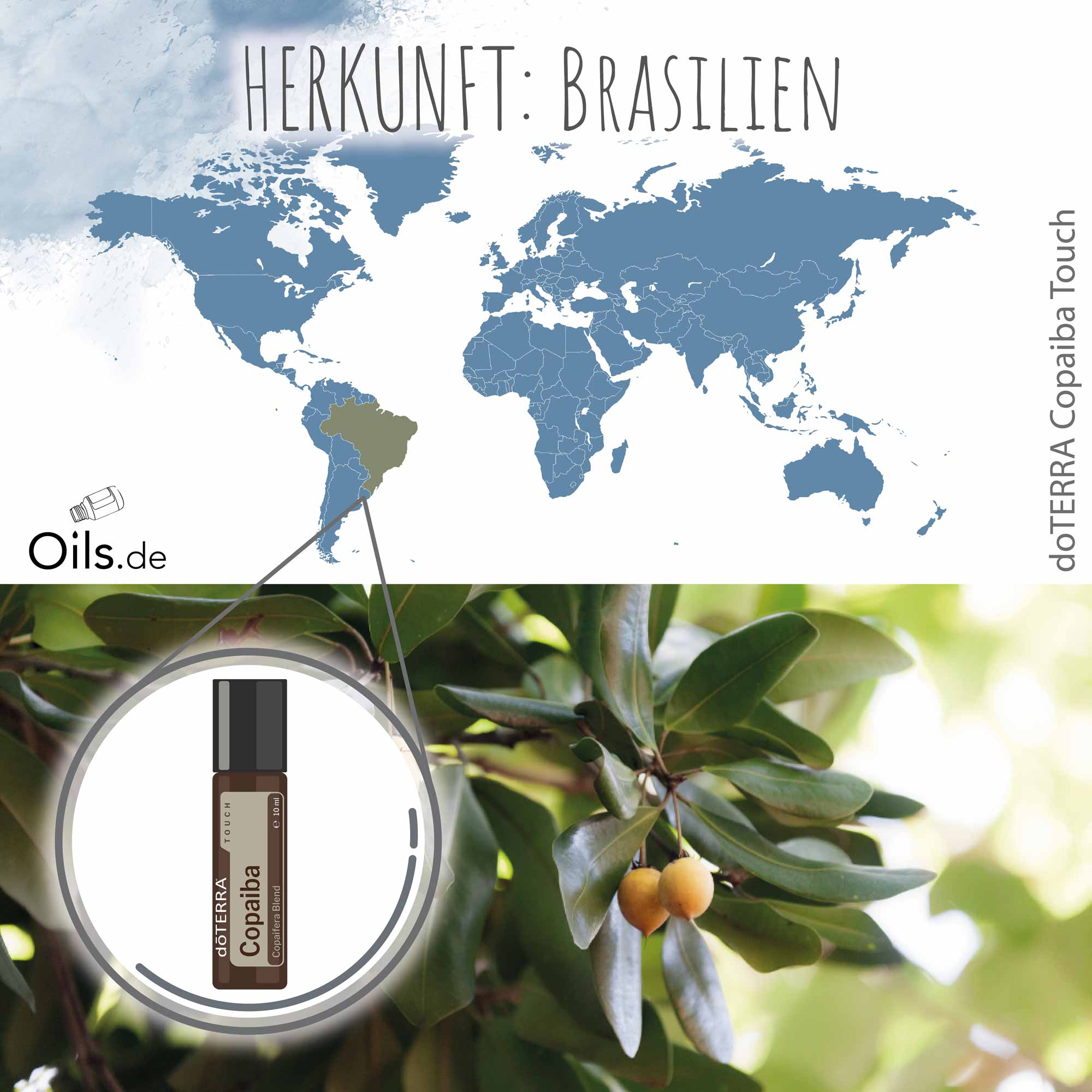 doTERRA-Copaiba-Touch-Herkunft doTERRA Copaiba Touch Herkunft