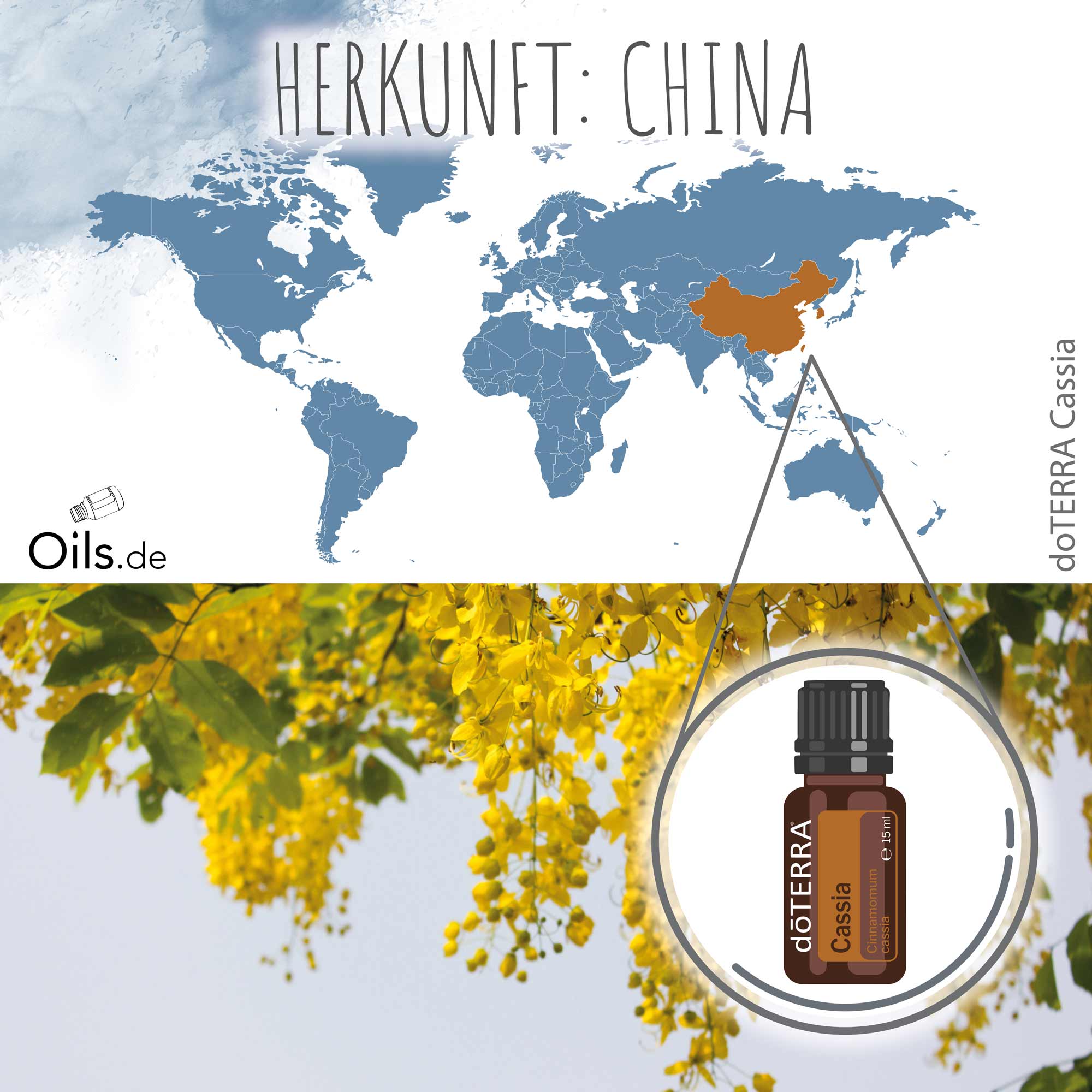 doTERRA Cassia | Herkunft