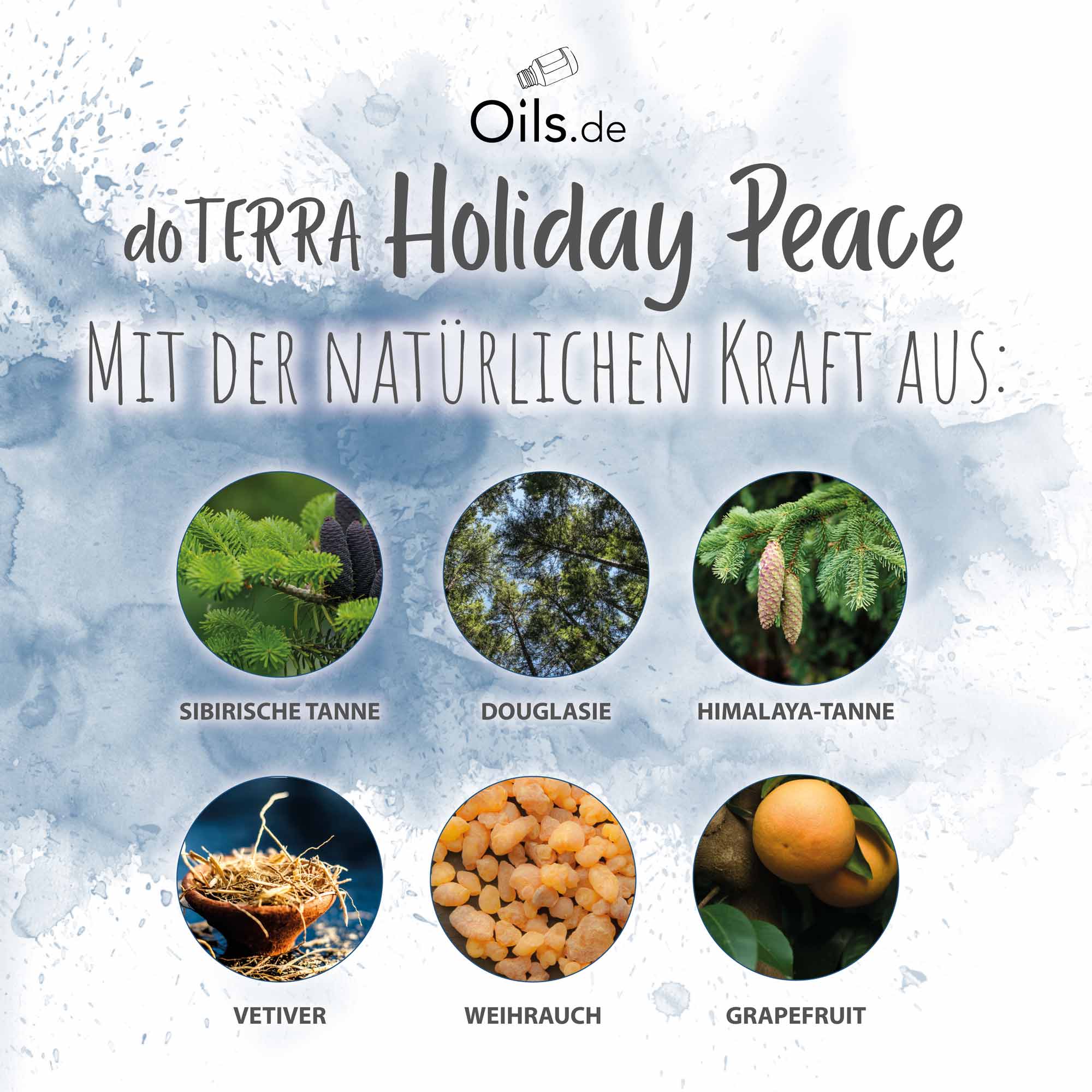 doTERRA-Holiday-Peace-Inhaltsstoffe doTERRA Holiday Peace | Inhaltsstoffe