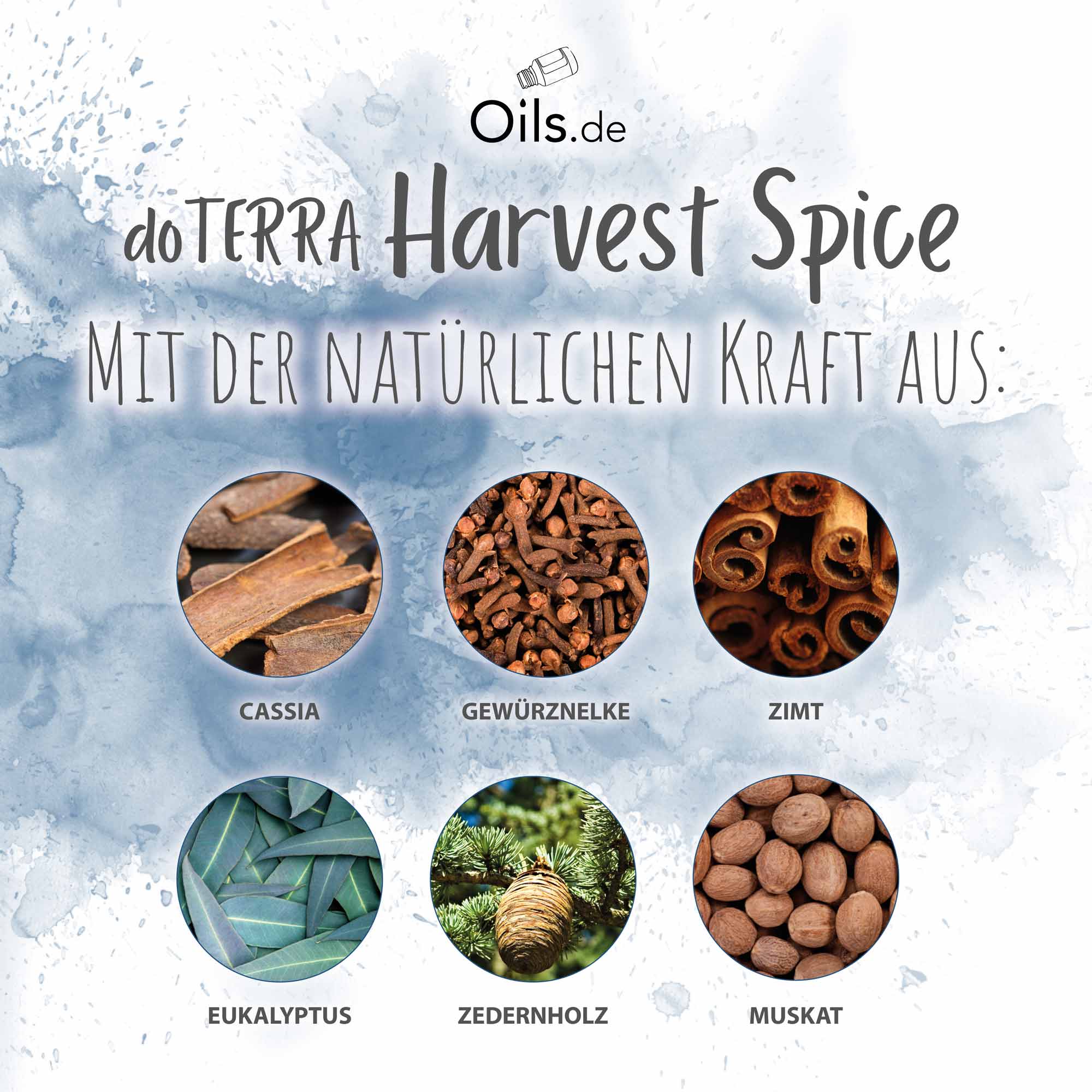 doTERRA Harvest Spice | Inhaltsstoffe
