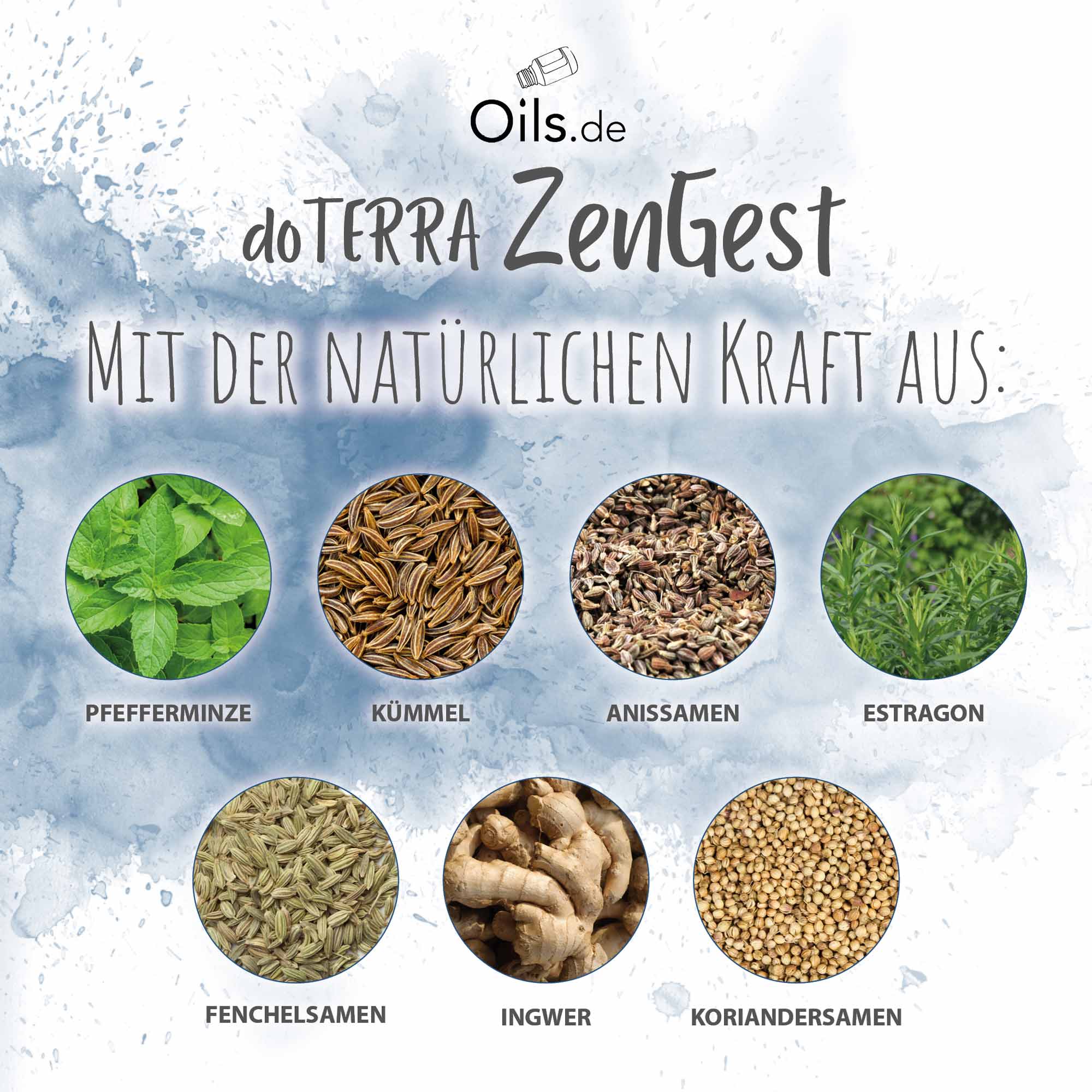 doTERRA ZenGest | Inhaltsstoffe
