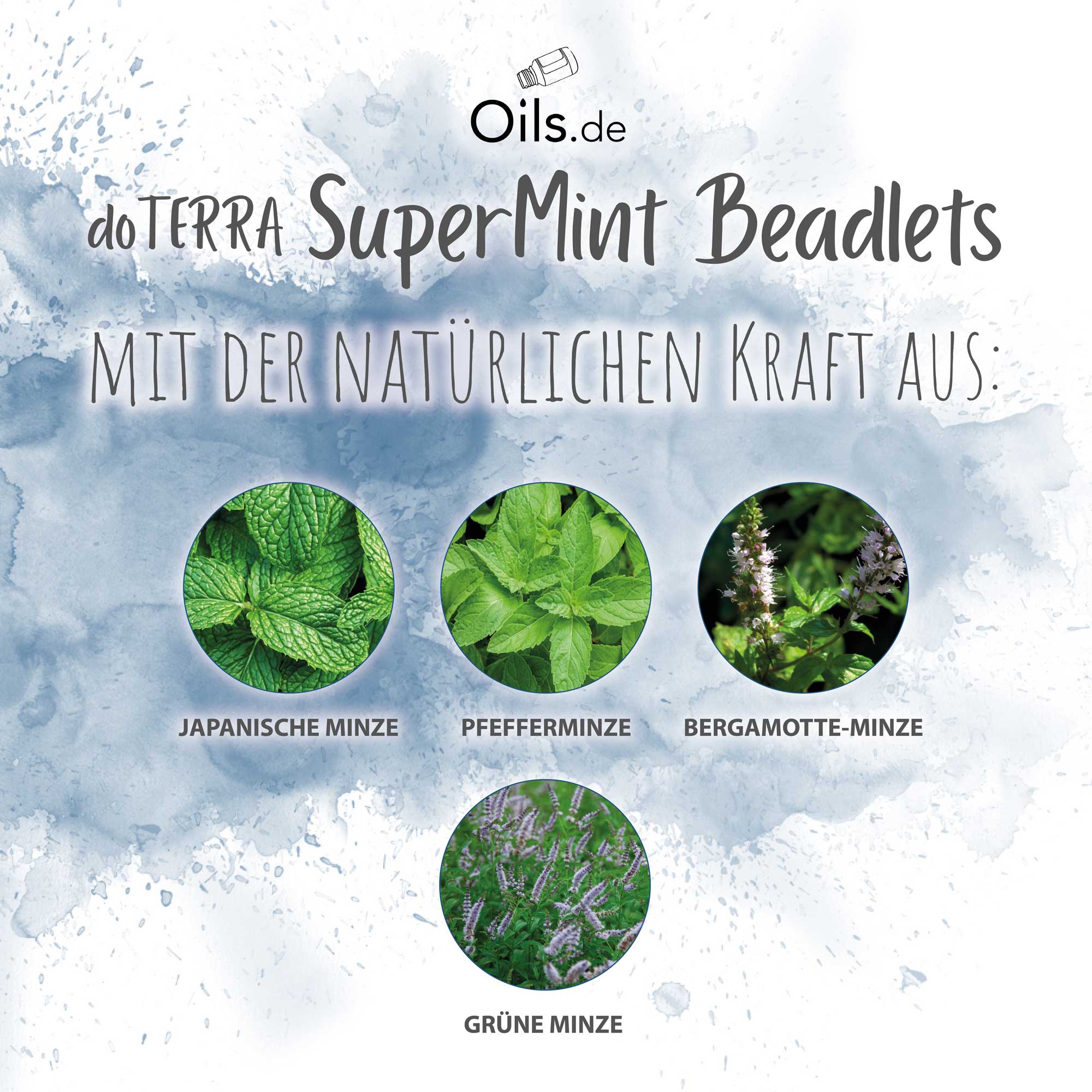 doTERRA SuperMint Beadlets | Zusammensetzung