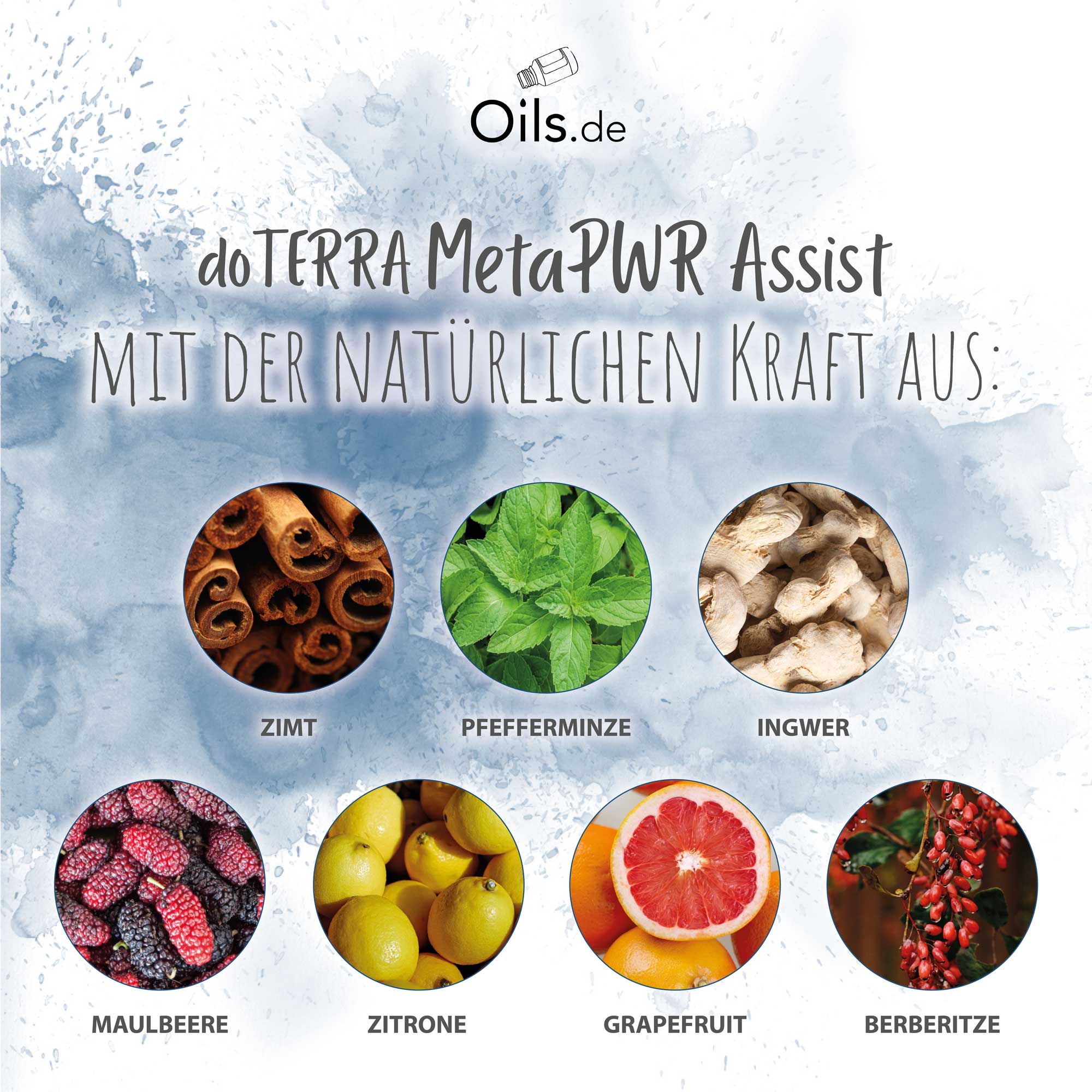 doTERRA MetaPWR Assist | Inhaltsstoffe