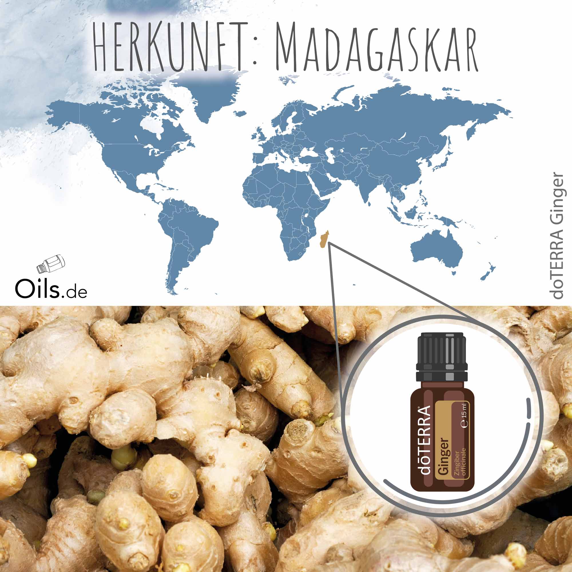 doTERRA-Ingwer-Herkunft doTERRA Ingwer Herkunft