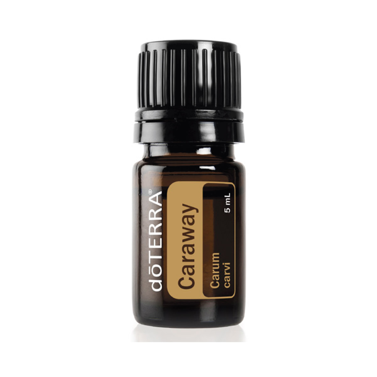 doTERRA-Caraway-Echter-Kuemmel-5ml doTERRA Caraway (Echter Kümmel) 5ml