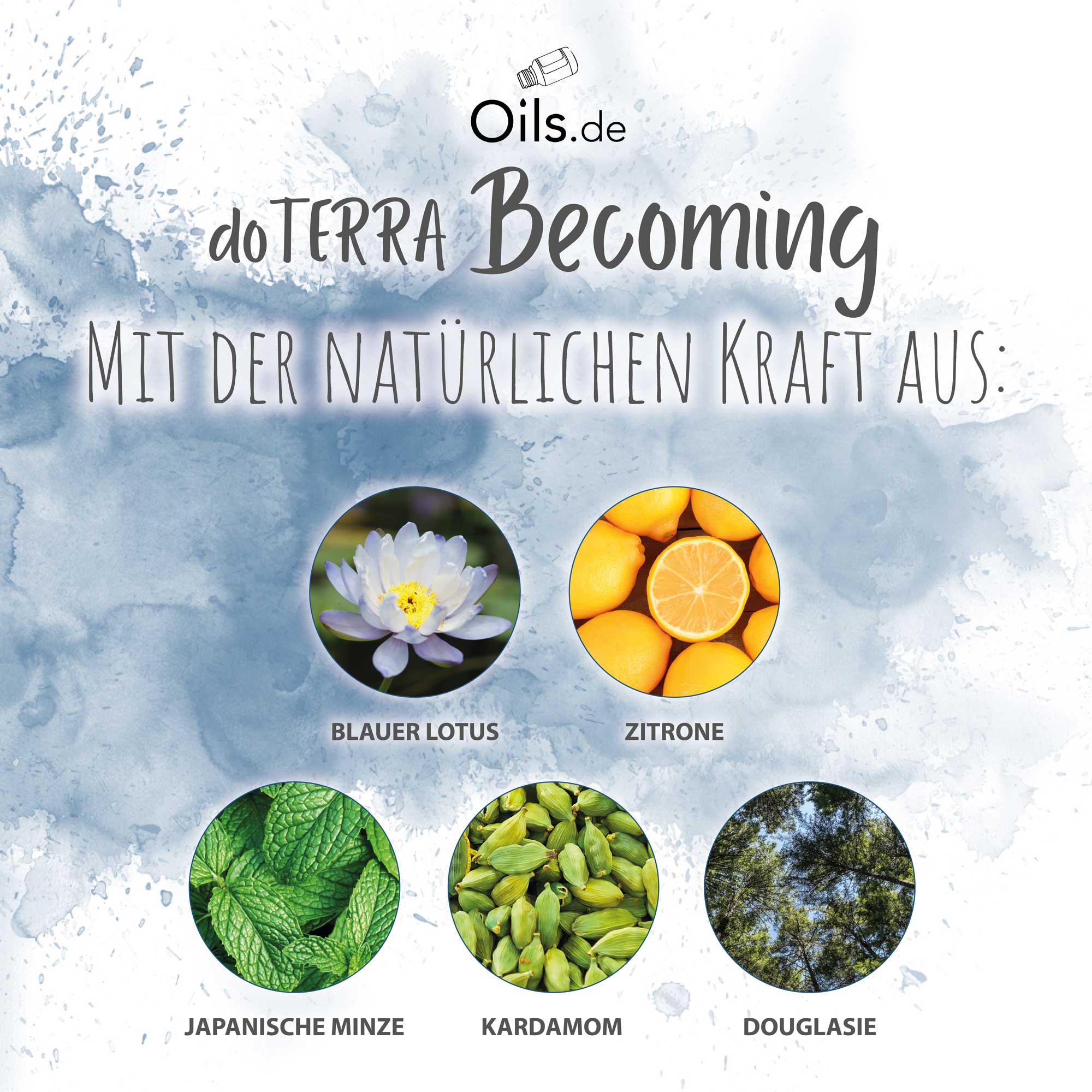 doTERRA-Becoming-Inhaltsstoffe doTERRA Becoming Touch | Inhaltsstoffe