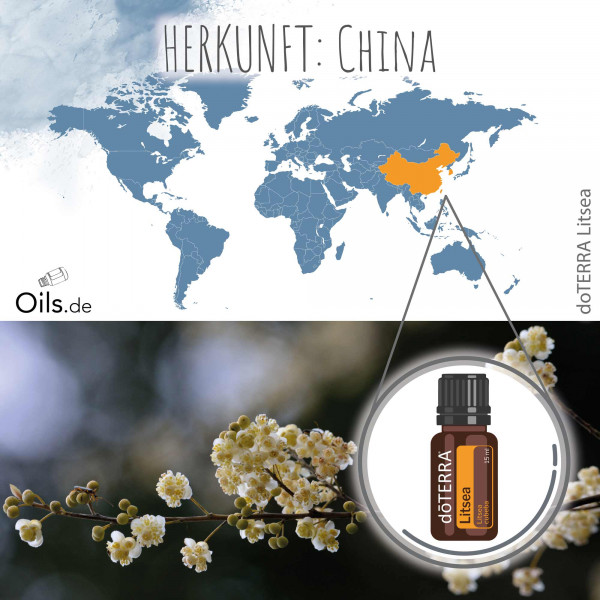 Doterra Litsea 15ml Litsea Cubeba 8494